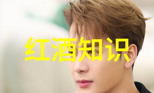 智能学习助手题库答题软件的崛起与应用