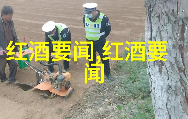 欧洲古典风情城堡中世纪时尚的建筑艺术