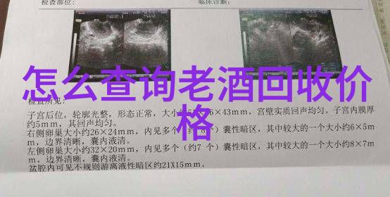 春秋战国时期的政治格局与文化成就