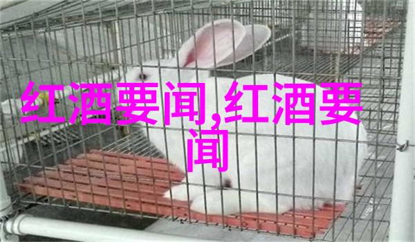 云顶飞行与山间漫步张家介年四季行程规划