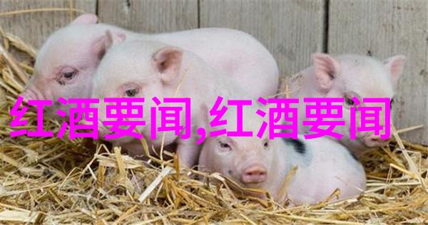 收藏天下APP下载追求完美的数字宝库有哪些不可思议之处