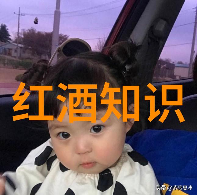 隆河丘产区背后的历史故事是什么