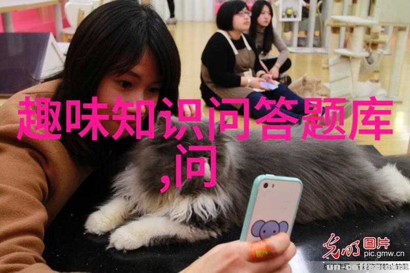 中国大地上的人文艺术探索