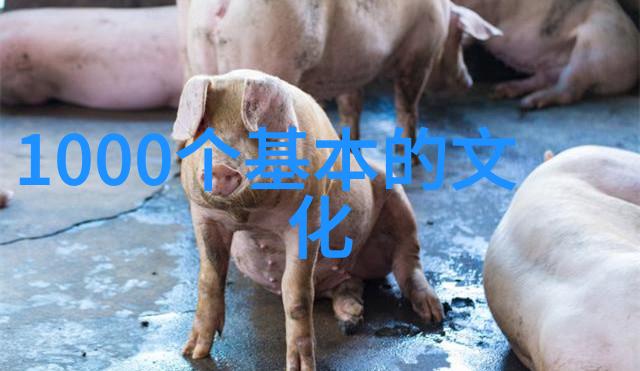 这十位名人对现代社会有什么影响和贡献呢