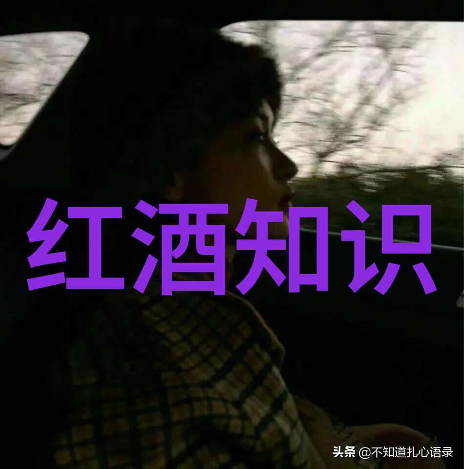 周边100公里左右的自驾游-探索身边未知一场百公里之旅的奇遇记