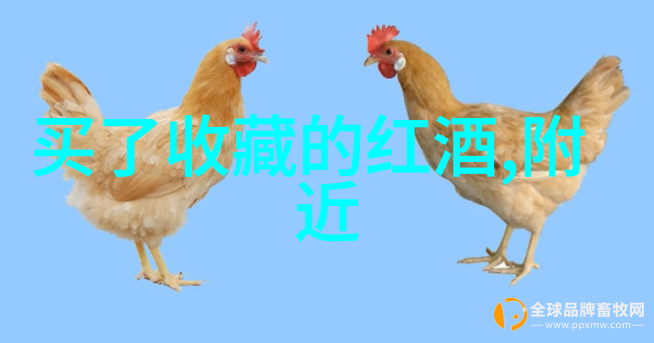 逆袭的选择揭秘哪只指数基金能让你从低谷走向巅峰