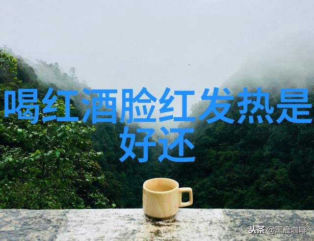 药用佳酿考察中医理论对中华酿造工艺影响