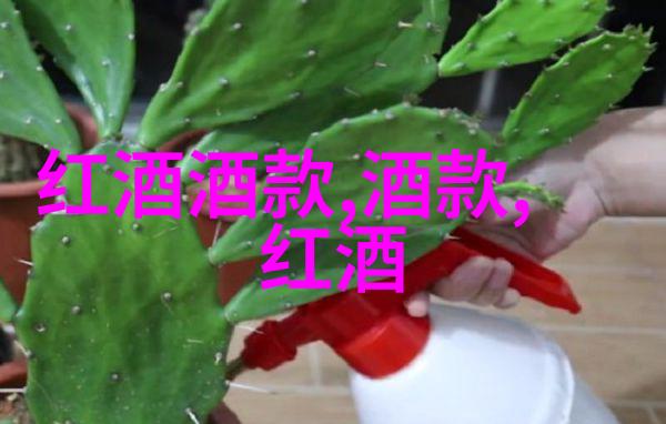 红颜佳人揭秘玫瑰花的神秘之名