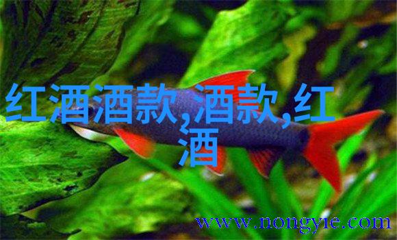 我爱收藏探索个人珍藏品的文化符号与心理意义