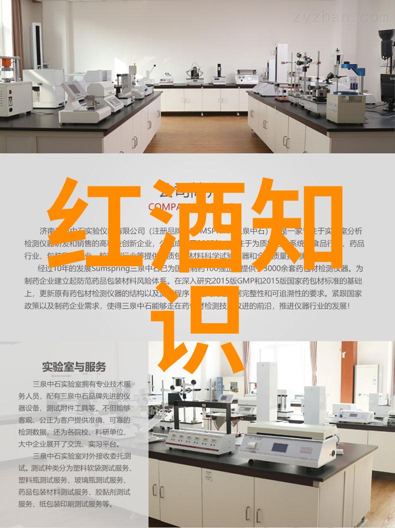 挑战极限追求卓越维京公司对泰坦尼克的决策分析