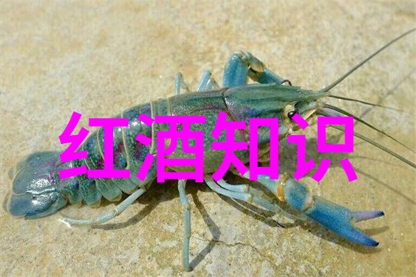 非洲葡萄酒产区我在非洲的葡萄酒冒险揭秘黑暗大陆的甜蜜果实