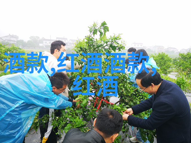 手绘漫画人物基础技巧掌握简单的线条和造型