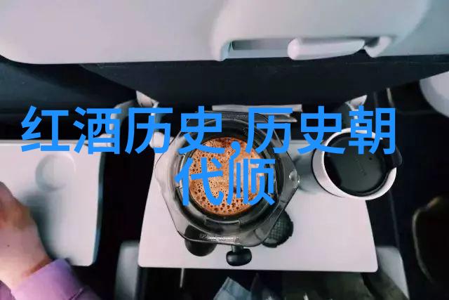 农村烧柴火酿酒设备燃烧岁月的味道