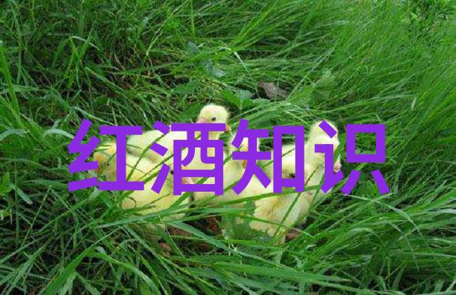 今日蚂蚁庄园答题答案是什么岂非希望酒庄