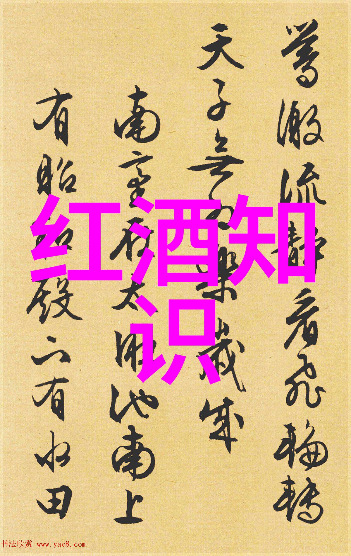 猫咪写真毛茸茸的魅力