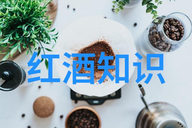 酒文化的精神内涵-醉心传承揭秘酒文化深邃的哲学与情感