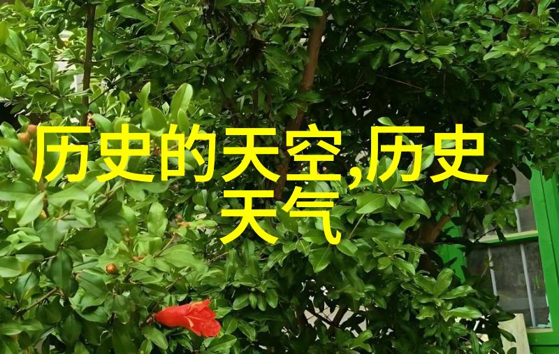 波尔多之谜揭开红酒产地的秘密