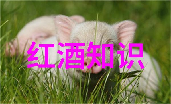 非粮食主产区我在这片土地上种下的不是稻谷而是希望