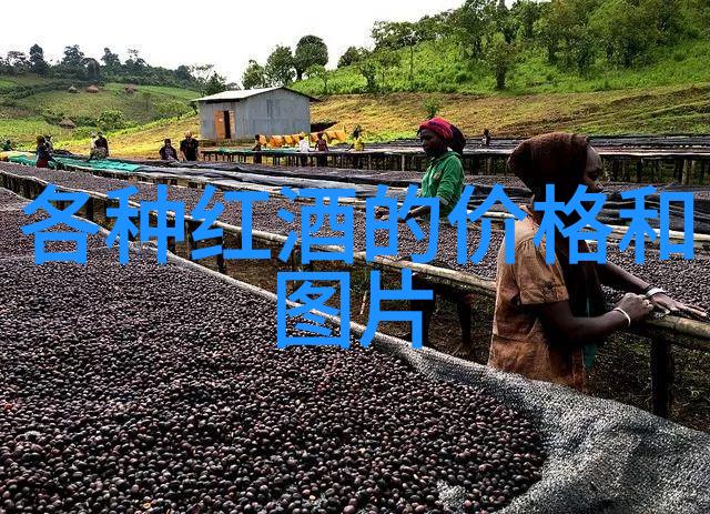 2016意大利葡萄酒界最有影响力的100位巨匠他们在历史长河中如诗如画地绘制了传奇故事第35位至第3