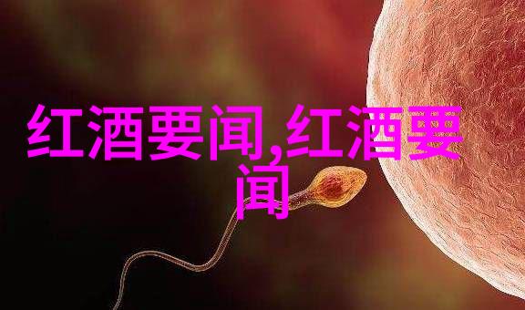 笑谈问答知识库里的智慧与趣味对决