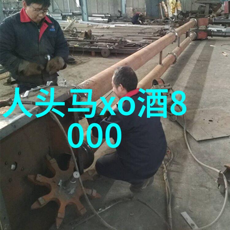 探索我的收藏宝库一场奇遇之旅