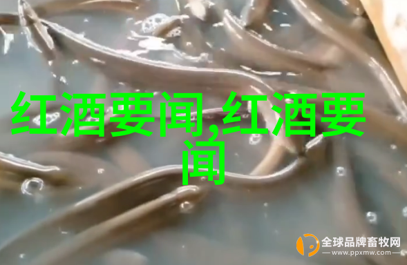 一品江山txt下载-穿越之我是江山重生豪门情缘