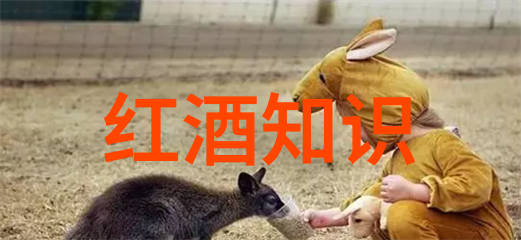 360问答系统全面解答机制的智慧之源