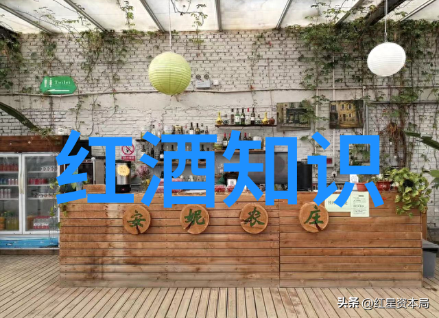 黄淮海的粮食奇迹一场不败的谷物大战