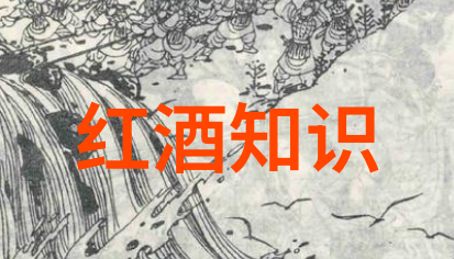 深邃的葡萄园之谜红酒产区背后的秘密