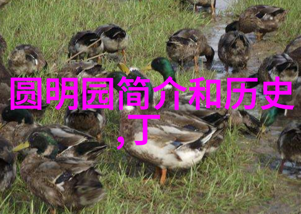 上海周边自驾景点 - 探索江南美丽上海周边自驾游必去景点