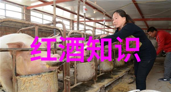 葡萄酒岁月老产区的回声与梦想