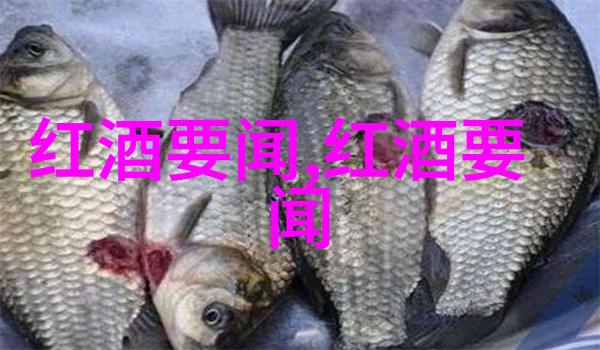 猫200种大全佩阔利诺的智慧探索