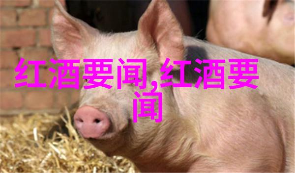 中学历史教学园地历史探究的乐土