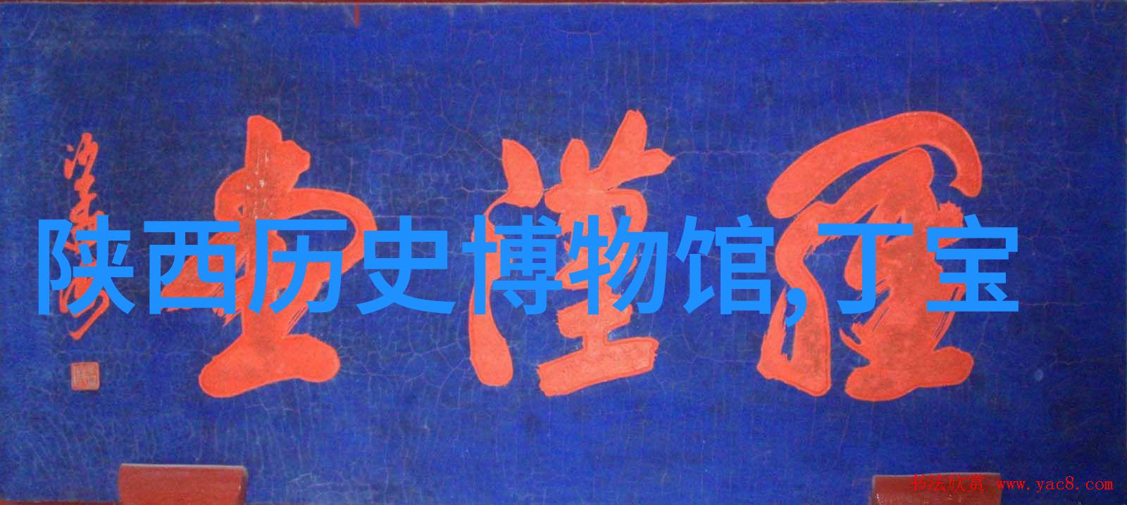 猫品种画廊探索喵喵世界的美丽多样