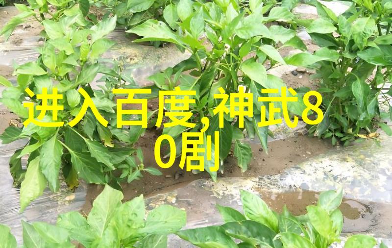 在不同的酿酒文化的翅膀下葡萄酒风格绽放得如同万花筒般璀璨夺目而现在自驾游适合去那些地方探索未知的美景