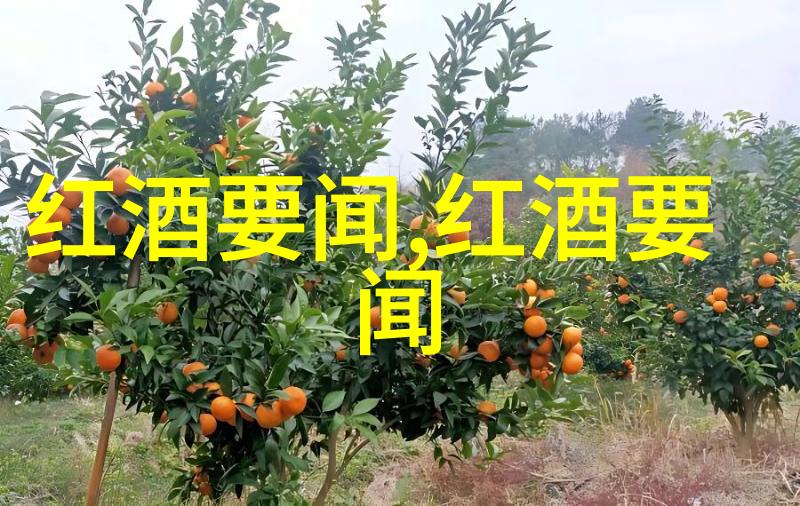 今天蚂蚁庄园的答案列表里藏着埃米希酒庄的秘密吗