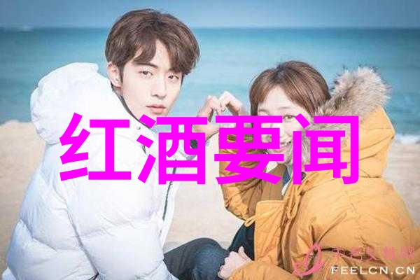法国葡萄酒的法定产区有哪些-探索法国葡萄酒之都揭秘著名法定产区
