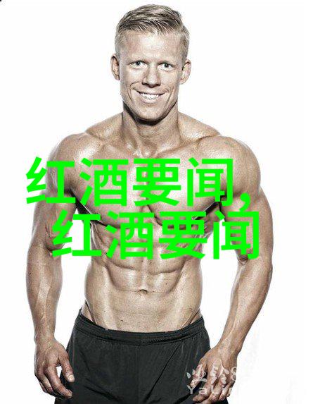 法国葡萄酒文化之旅探索波尔多布克和罗讷河谷的葡萄酒传奇