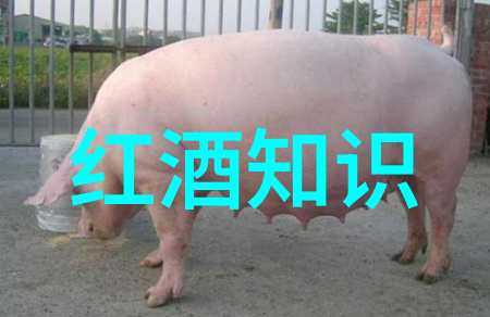 如何评价蒙哈榭产区的葡萄酒品质