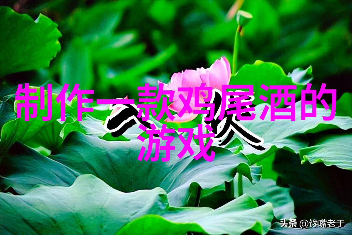 庄园秘密500万提现之谜