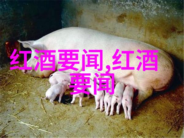 红酒文化的醇香探索其最终定义与深远影响