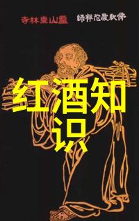 法国有几个葡萄酒产区 - 法国葡萄酒的多样魅力