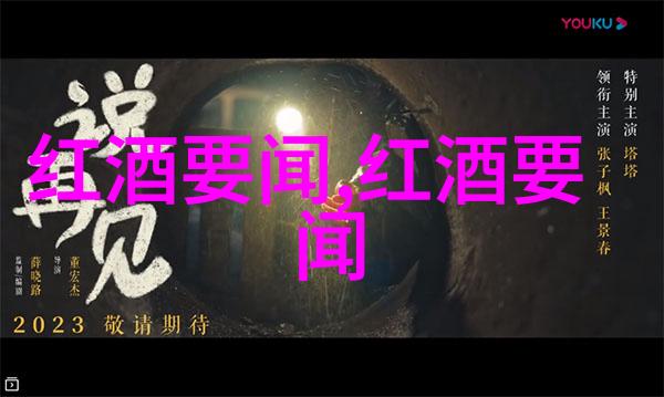 恢复历史记录-重走过往揭秘如何从技术角度还原重要数据