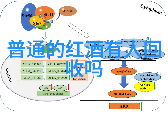 手机百度怎么提问我是不是得学着用智能手机搜些什么啊