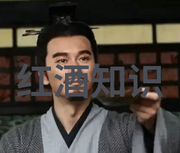 从古希腊神话到现代葡萄园葡萄酒文化的起源又是怎样的迷雾