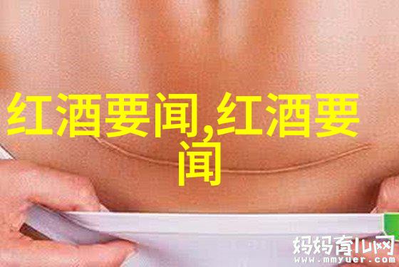 法国葡萄酒的巅峰之选波尔多地区的经典与魅力