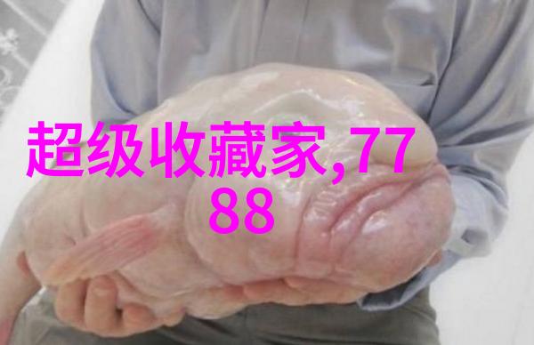 古董书画中的秘密收藏家小说的迷人世界