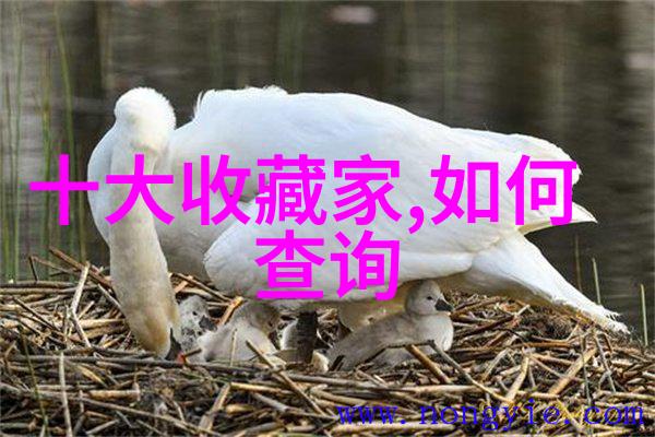 中世纪欧洲庄园的居民规模从封建领主到佃农的生活篇章