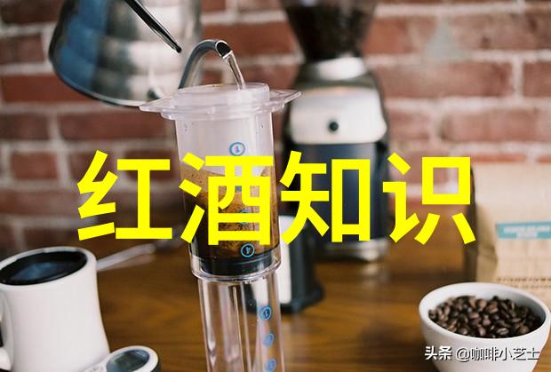玉米品种资料汇编探索多样化的金黄色甜粮