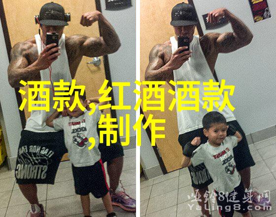 百度网盘下载行为分析与策略研究深度探究用户选择与优化机制